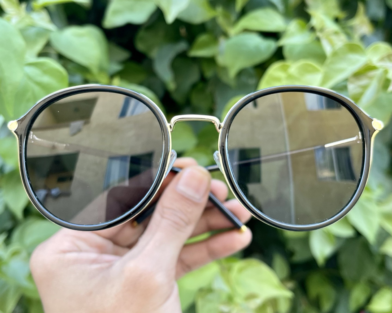 iiii co. sunnies #9024