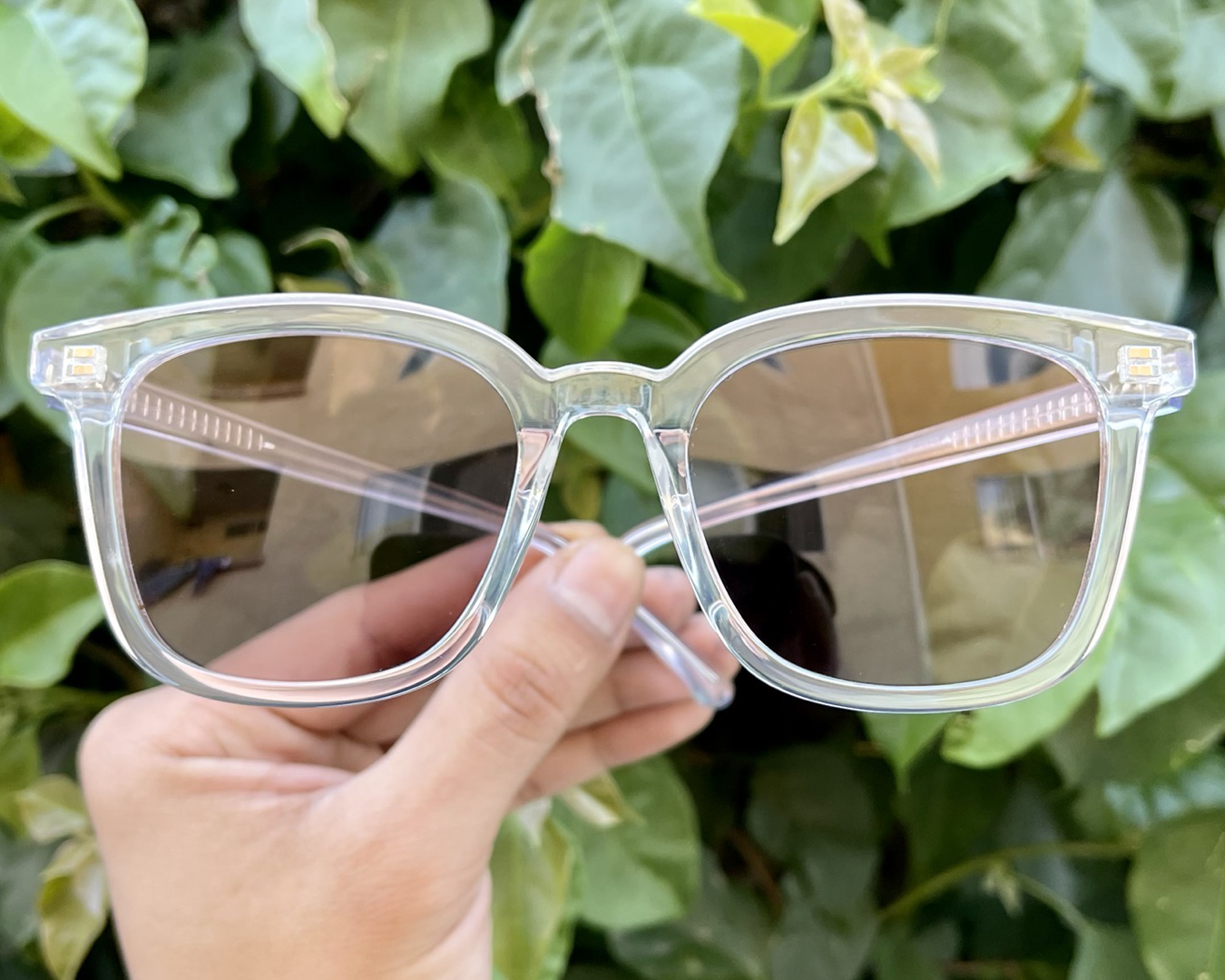 iiii co. sunnies #1979