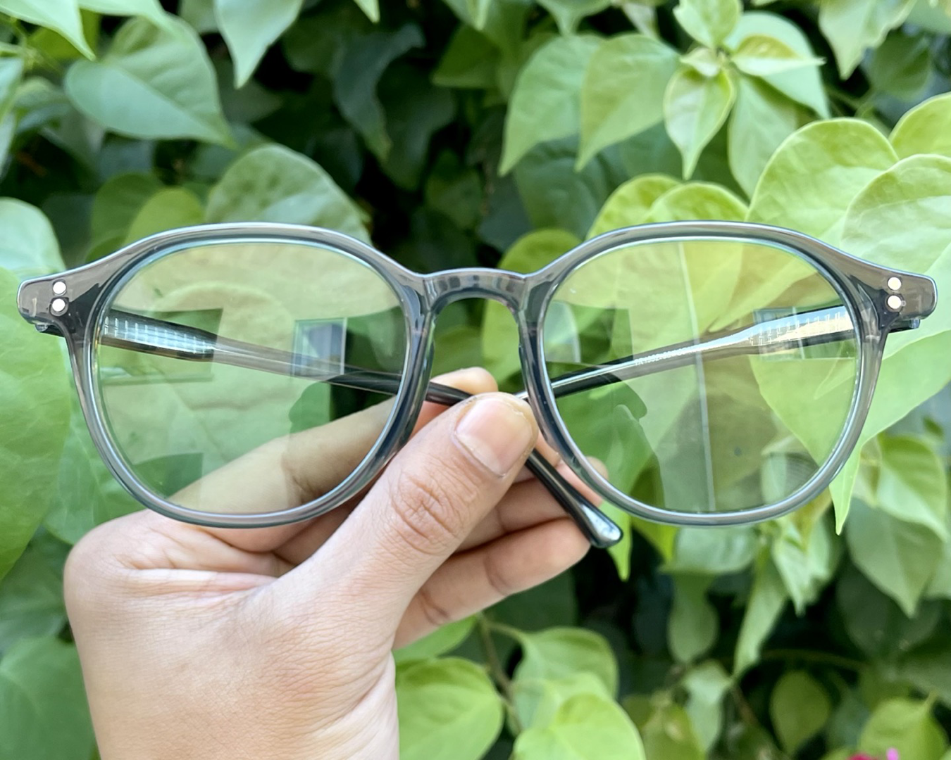 iiii co. sunnies #1952