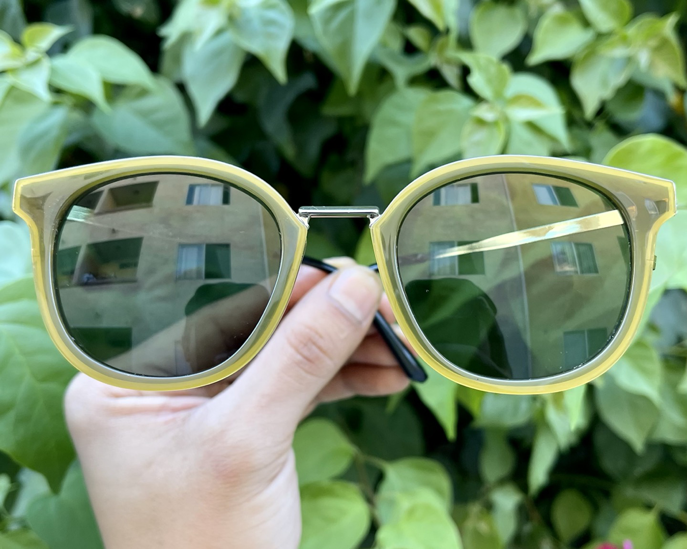 iiii co. sunnies #86189