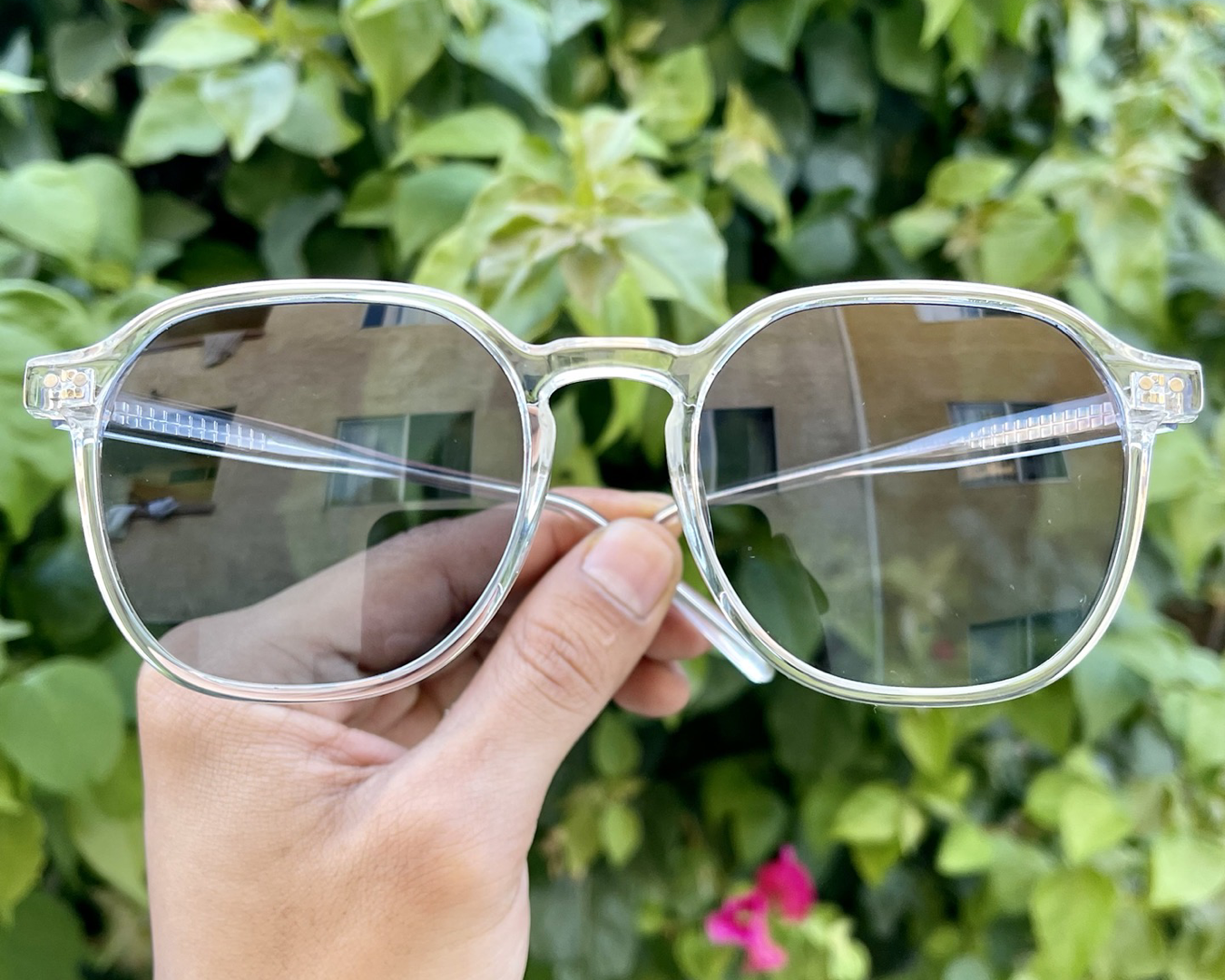 iiii co. sunnies #1961