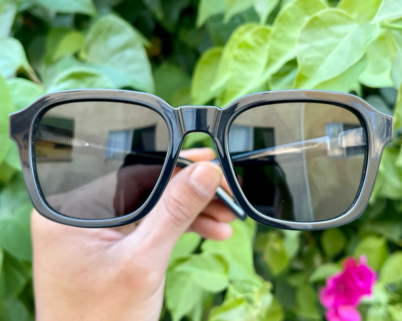 iiii co. sunnies #9025