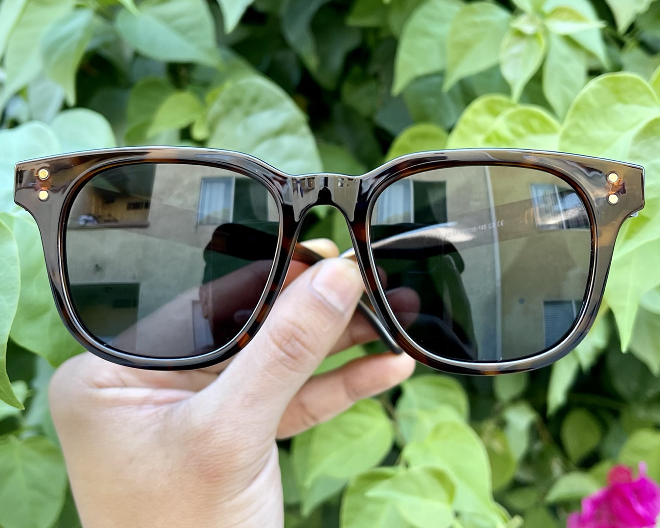 iiii co. sunnies #2155