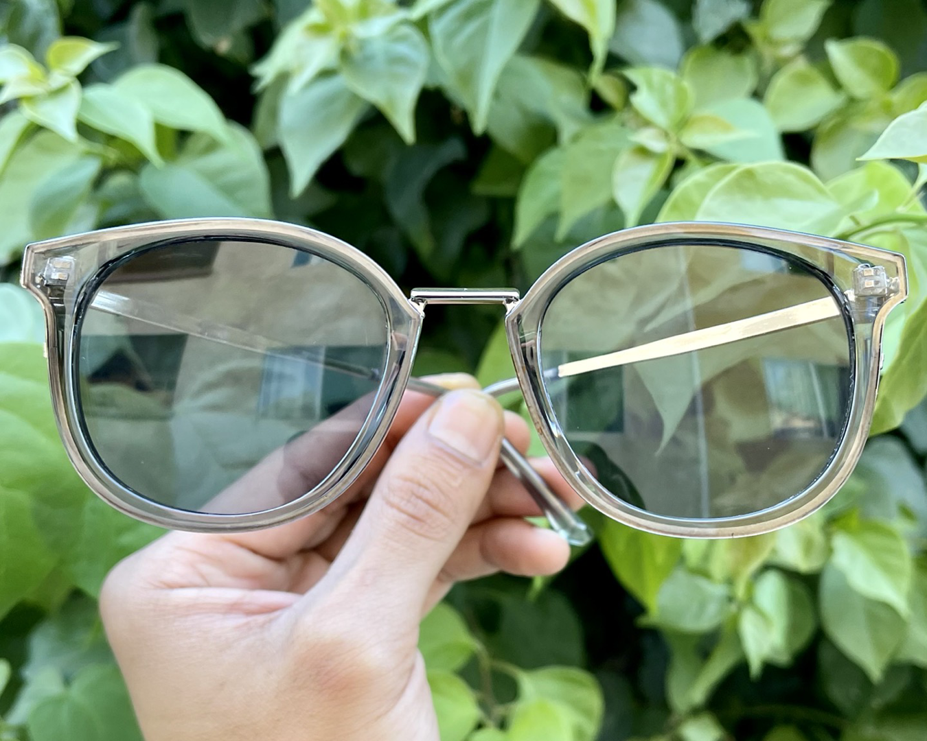 iiii co. sunnies #86189