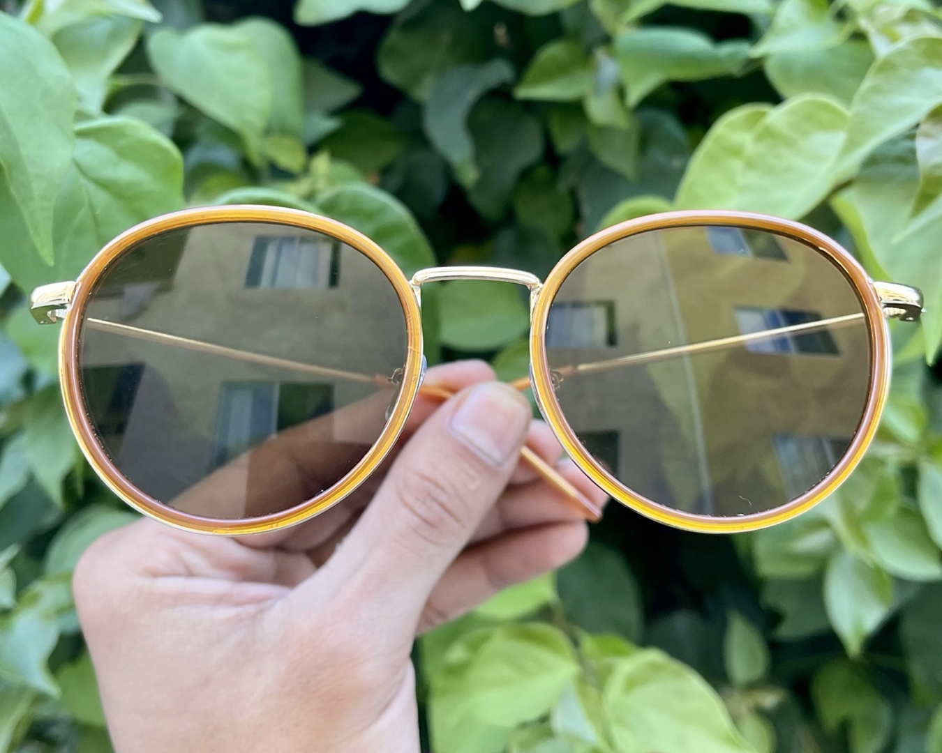 iiii co. sunnies #9012