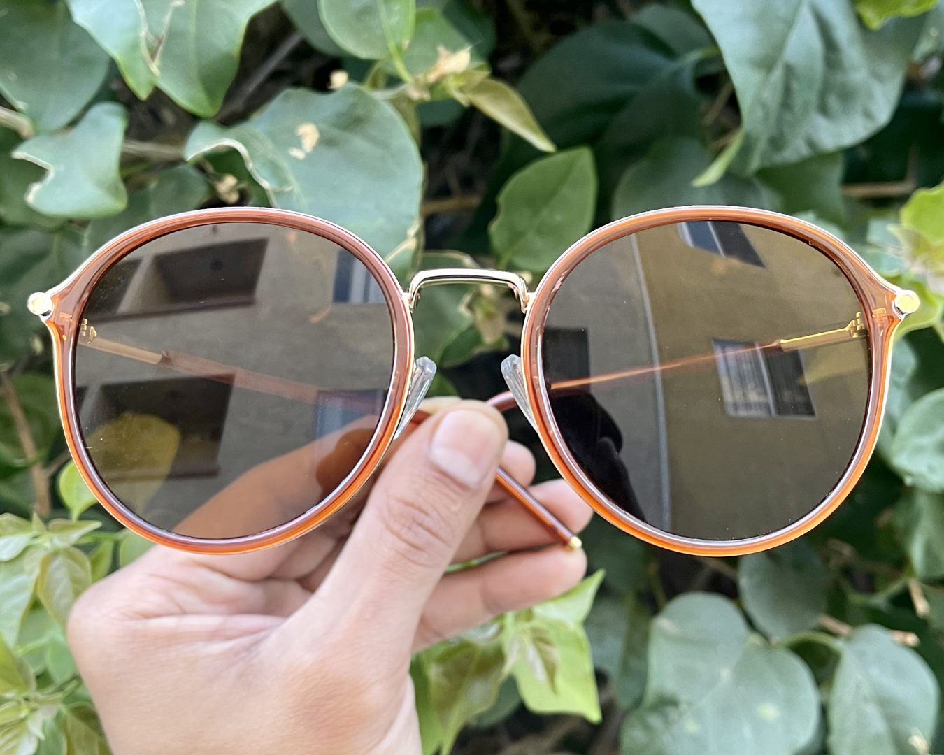 iiii co. sunnies #9024