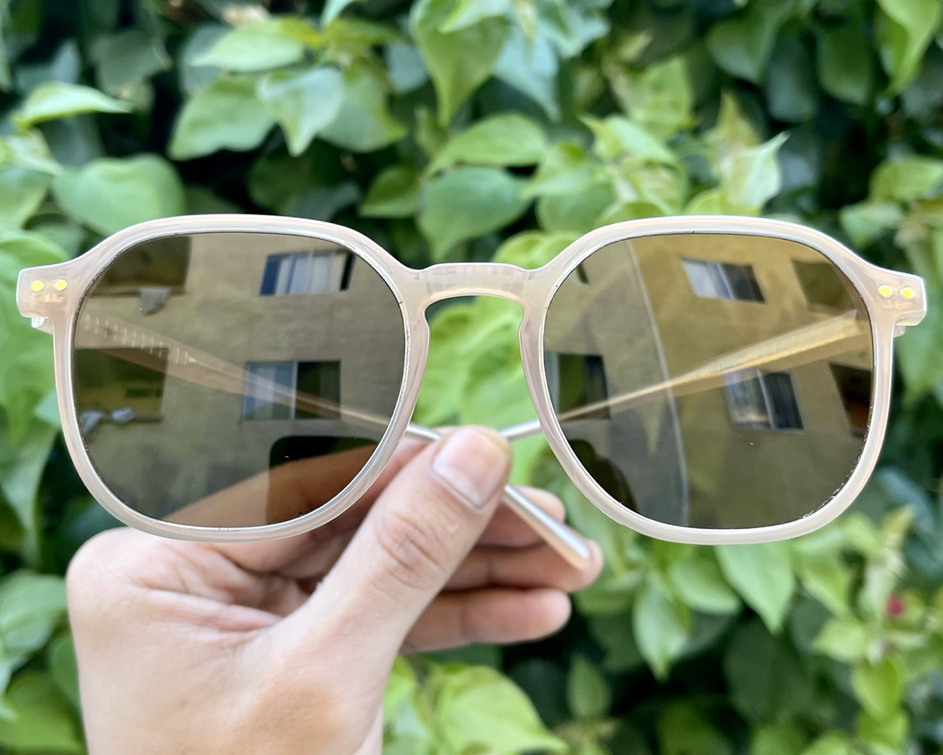 iiii co. sunnies #1961