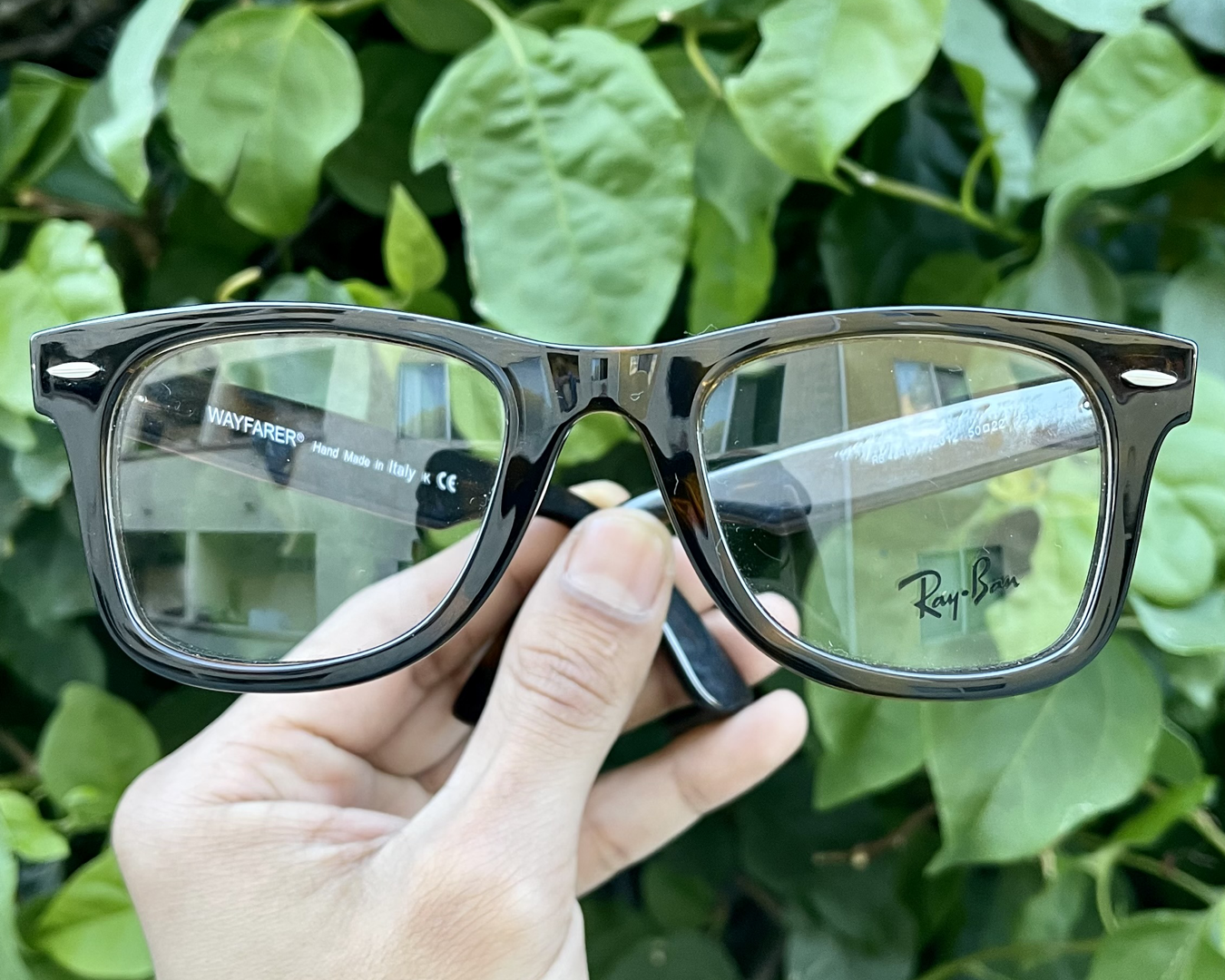 Ray Ban #Wayfarer