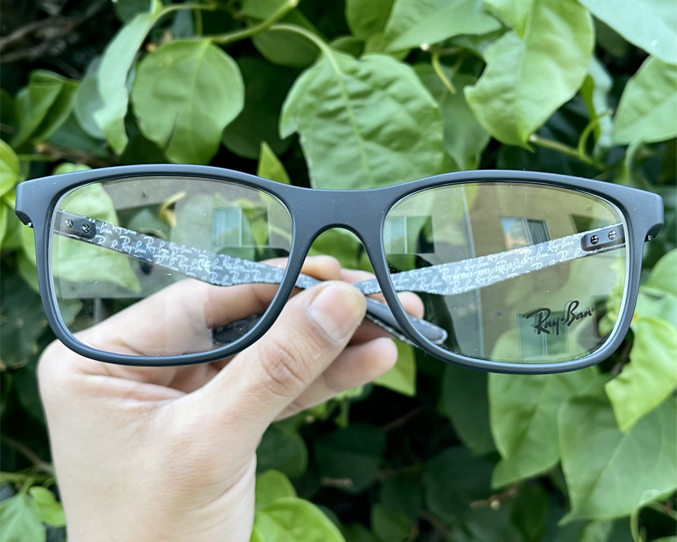 Ray Ban #8903