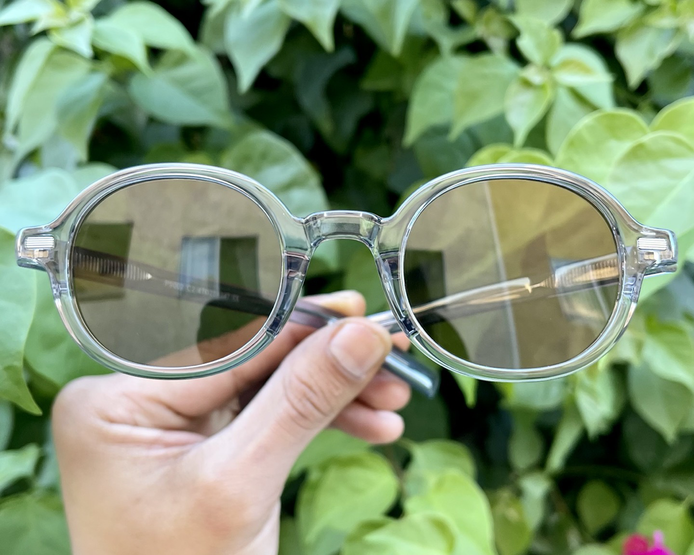iiii co. sunnies #9002