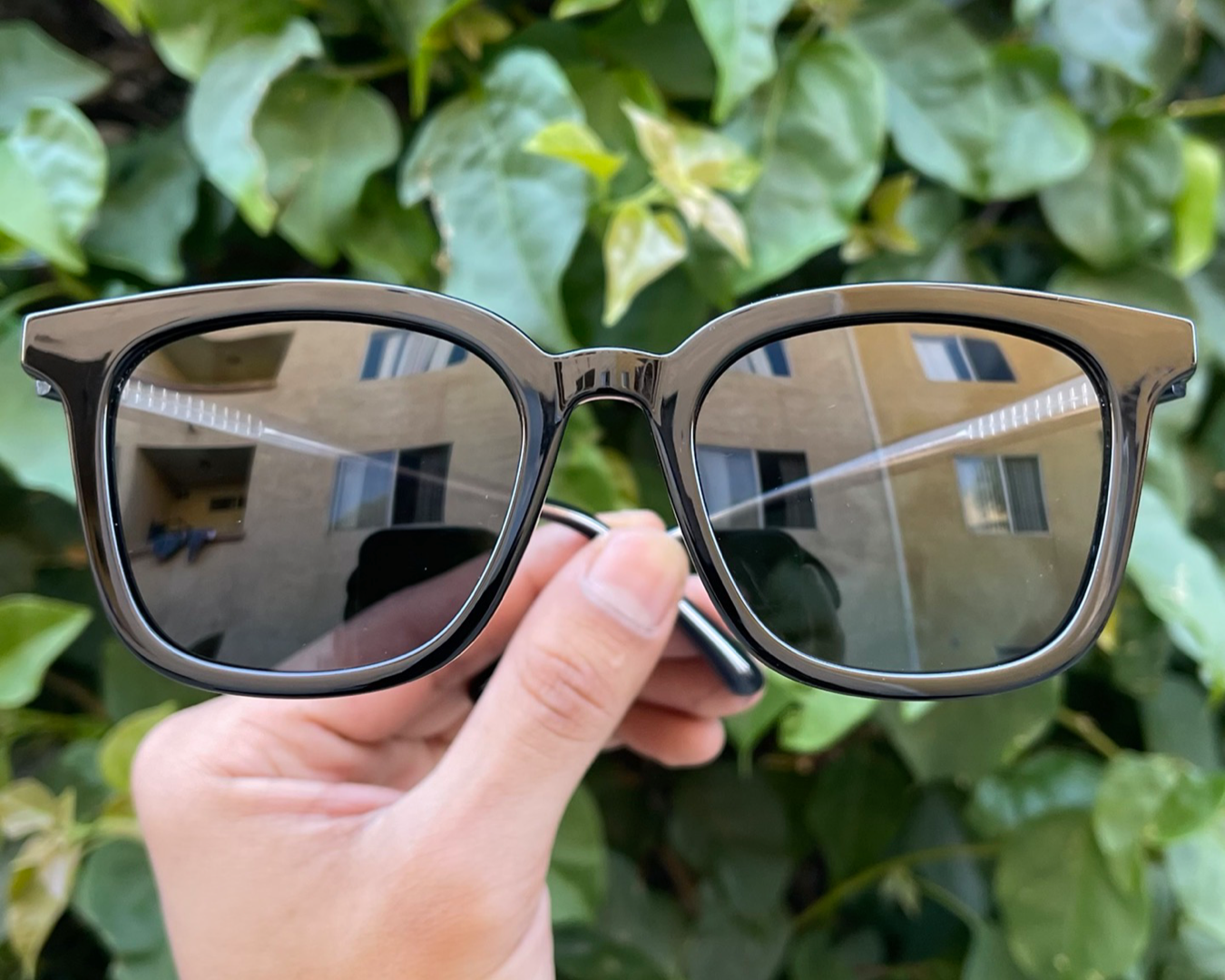 iiii co. sunnies #1979