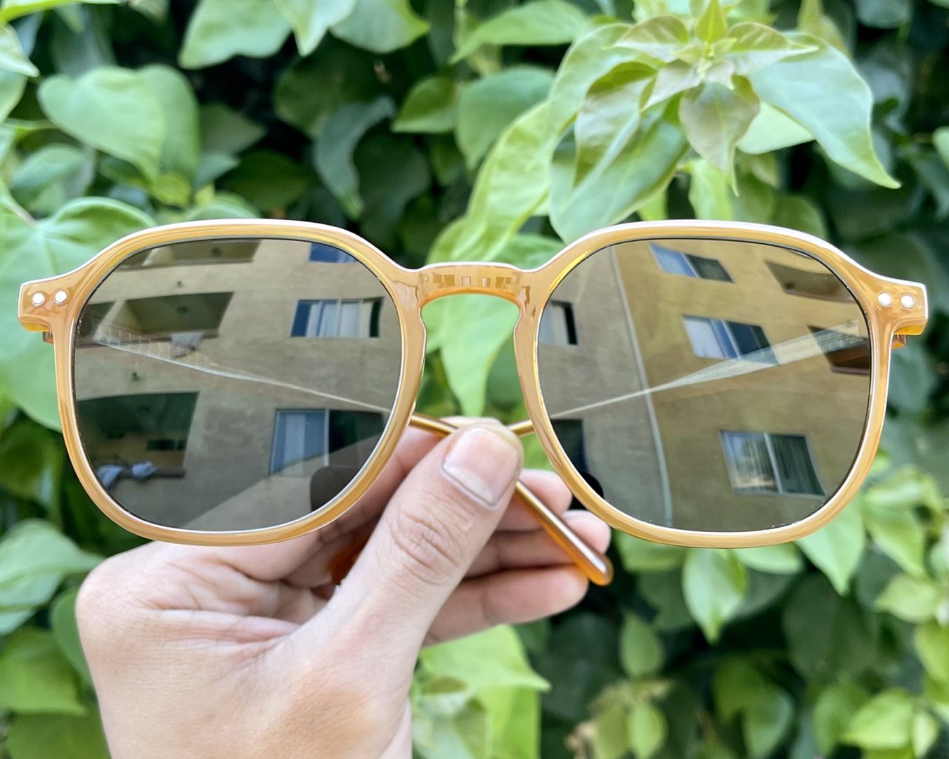 iiii co. sunnies #1961