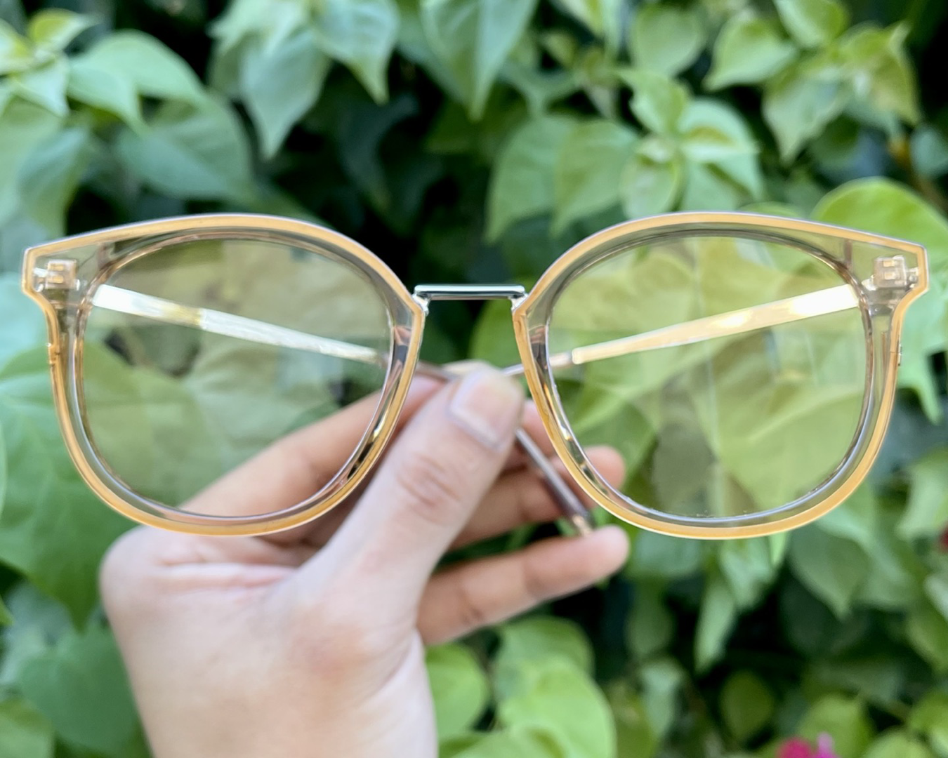 iiii co. sunnies #86189