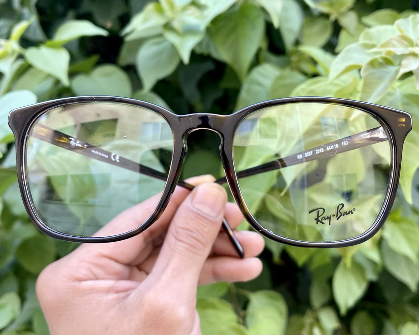 Ray Ban #5387