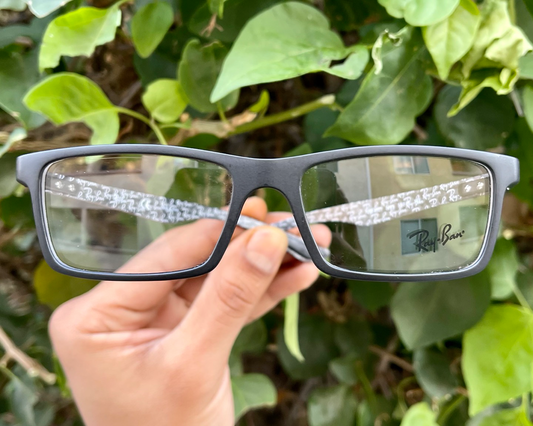 Ray Ban #8901